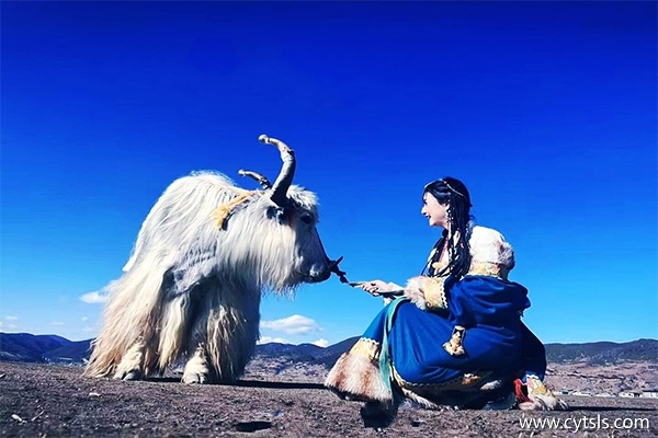 三個人現(xiàn)在去西藏旅游7天多少錢