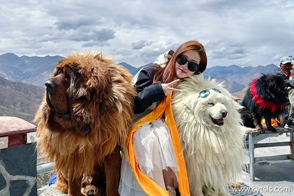 杭州到西藏報團(tuán)旅游費(fèi)用